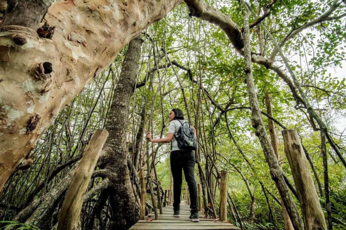 The Importance of Sustainable Tourism for Indonesia's Global Competitiveness