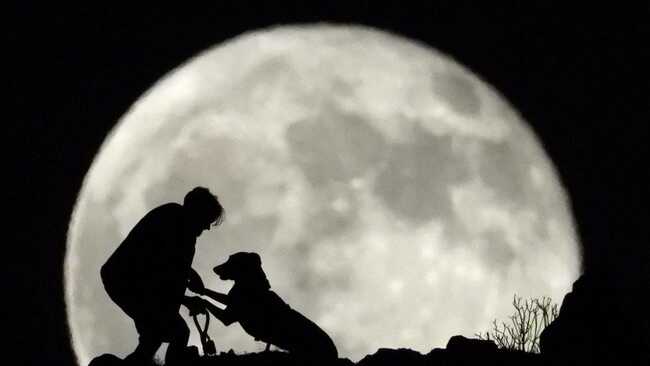 Moon Shrinking: Scientists Warn of New Earthquake Risks