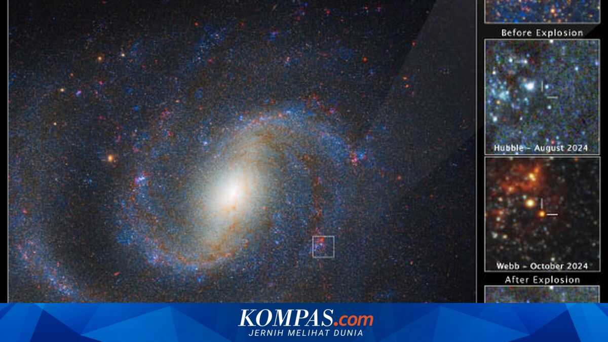 Mystery of the Missing Giant Star Solved: Webb Telescope Identifies Supernova Progenitor