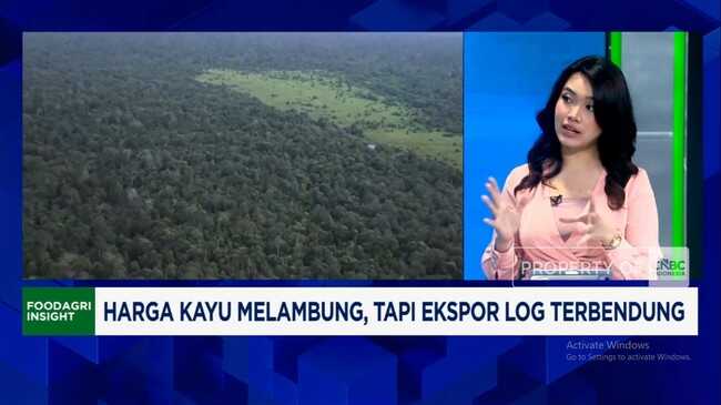 Video: Indonesia Possesses Valuable Timber, Priced Like Gold, Sought After by the US and the Middle East