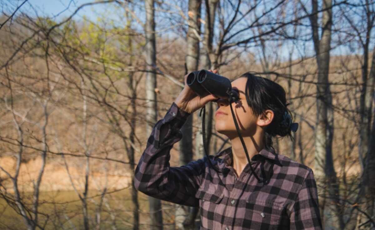Birdwatching Hobby Turns Out to Change Brain Structure and Prevent Premature Aging