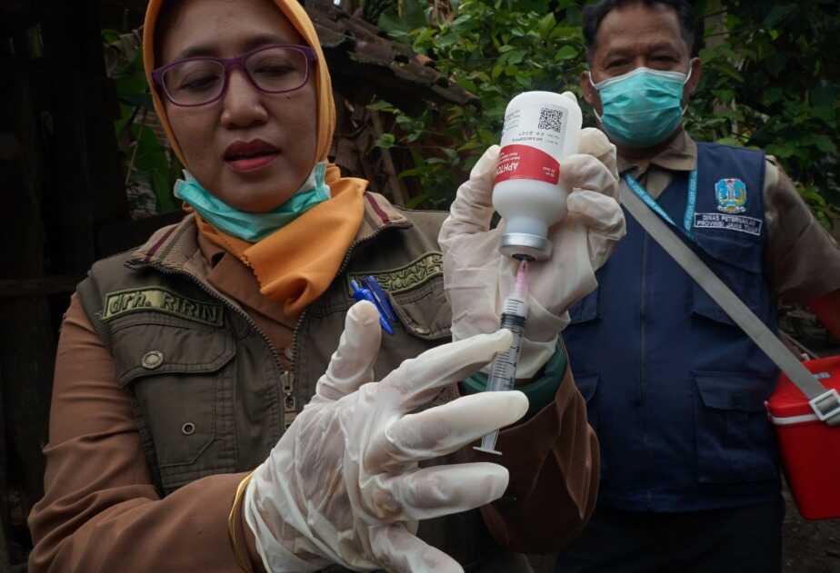 Optimising Virus Inactivation for the Production of Local Foot and Mouth Disease (FMD) Vaccines