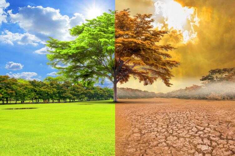 Climate Change and Health Threats: An Eco-Epidemiological Perspective