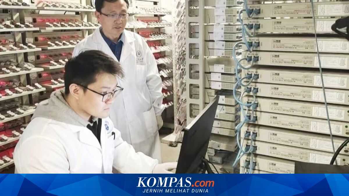 China Develops Electric Vehicle Battery from Plastic-Like Material