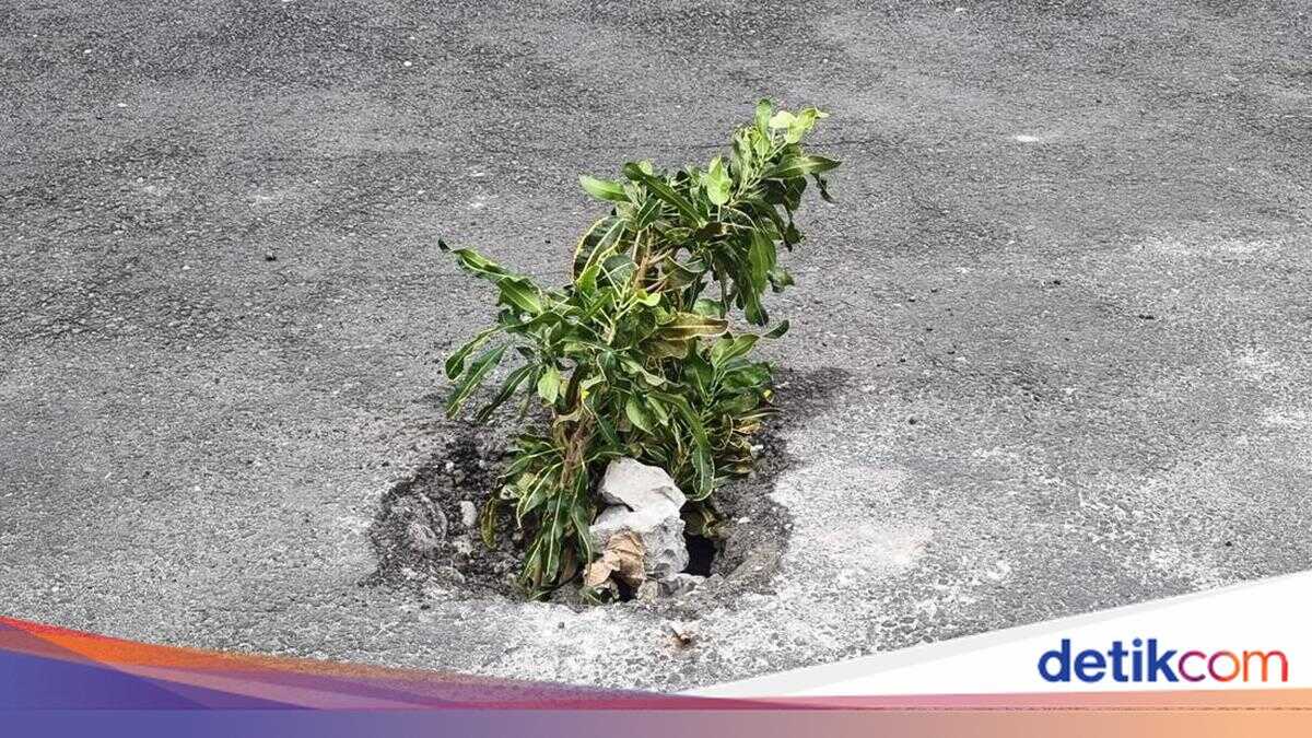 Several Road Sections in Wonosari Deliberately Damaged