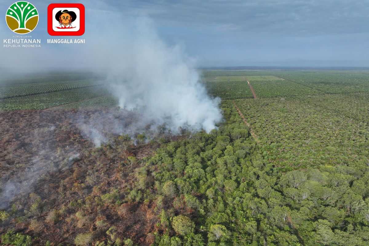 Riau Fire Department Works to Extinguish Forest and Land Fires in Bengkalis, Kampar, and Dumai