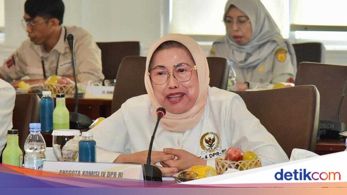 Gerindra Appreciates Red Onion Processing Facility in Brebes That Breaks into Exports