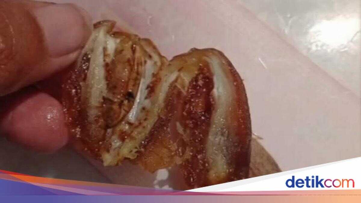 Viral Video of Maggot-Infested Dates in Free Nutritious Meal Programme at Mataram Junior School Prompts Education Agency Response