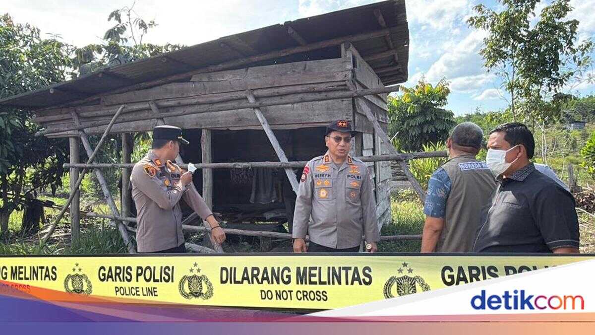 Riau Police Launch 'Sapu Jerat' Operation After Young Elephant Dies Trapped in Tesso Nilo