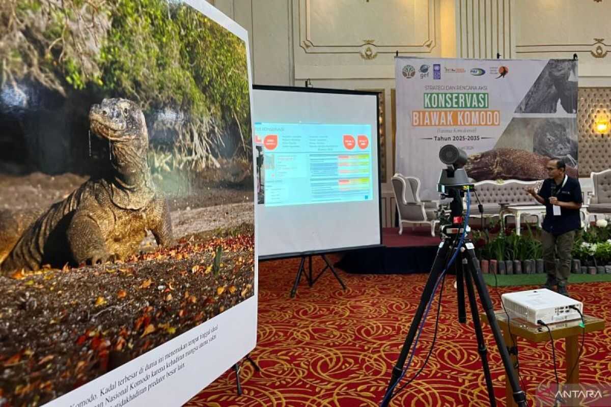 Ministry of Forestry develops Komodo conservation strategy until 2035