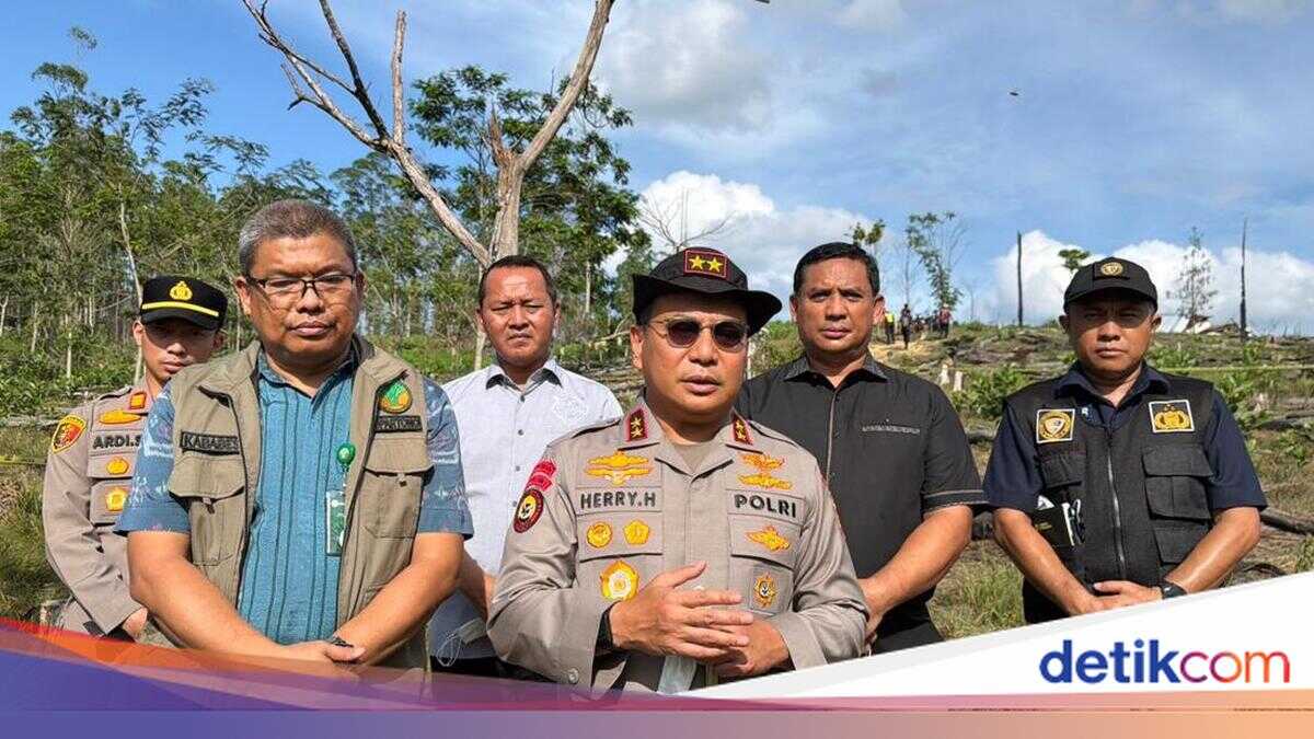 Riau Police to Announce Findings in Elephant Killing Case Next Week