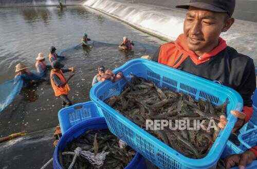 KKP Emphasises Inclusive and Equitable Blue Economy, Cross-Sectoral Synergy from Central to Regional Levels