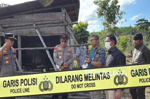 Riau Police Chief Inspects Location of Dead Elephant Calf in Tesso Nilo National Park