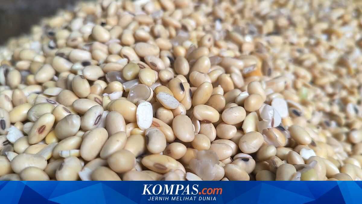 Akindo Supports Commitment to Import 3.5 Million Tonnes of US Soybeans Through ART Agreement