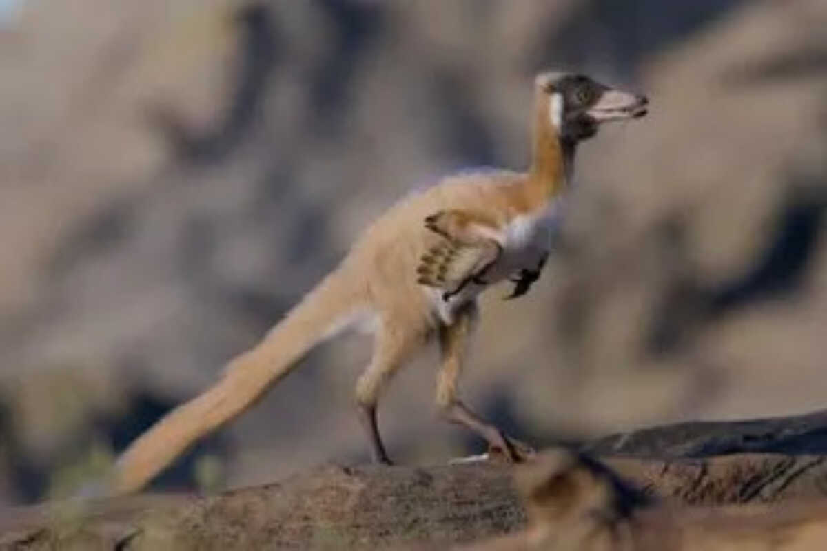 90-Million-Year-Old Fossil Fills Gap in the Evolution of Ant-Eating Dinosaurs