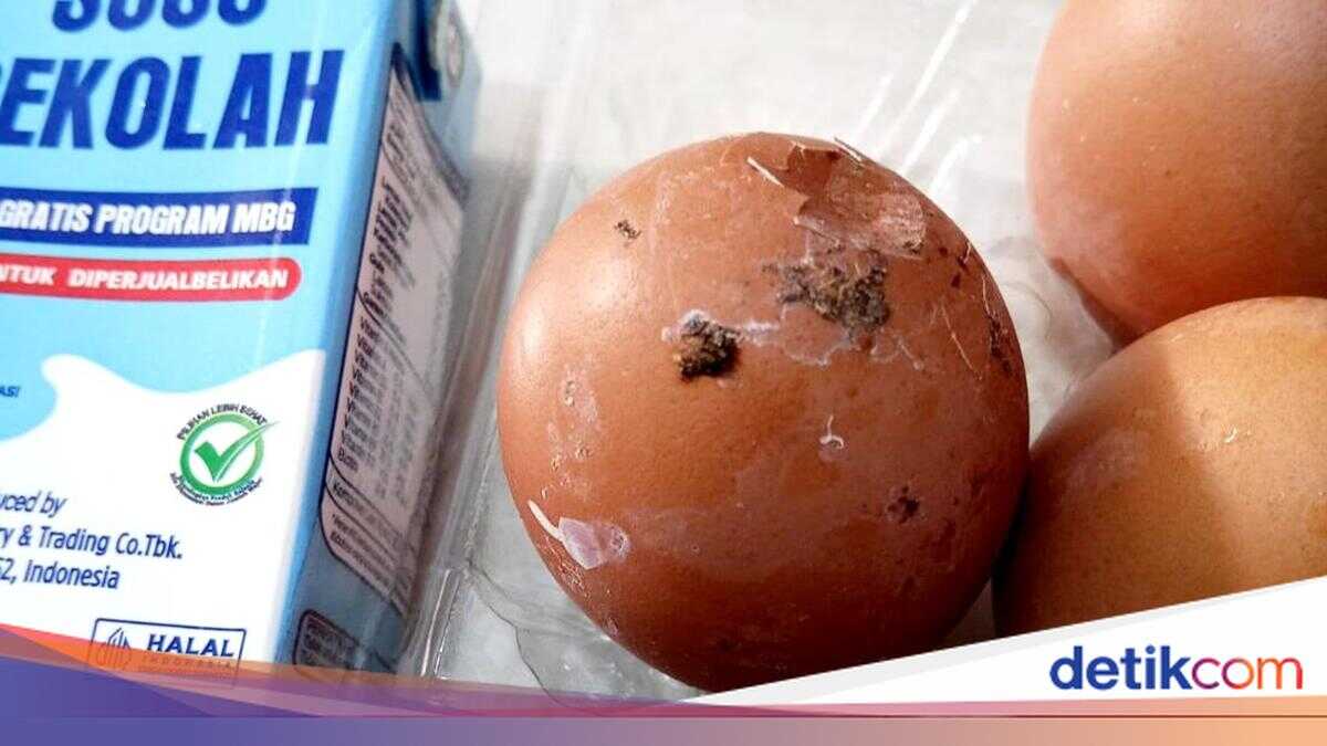 Outrage as Eggs in Free Nutritious Meal Programme for Primary School Students in Tulungagung Found to Contain Chicken Droppings