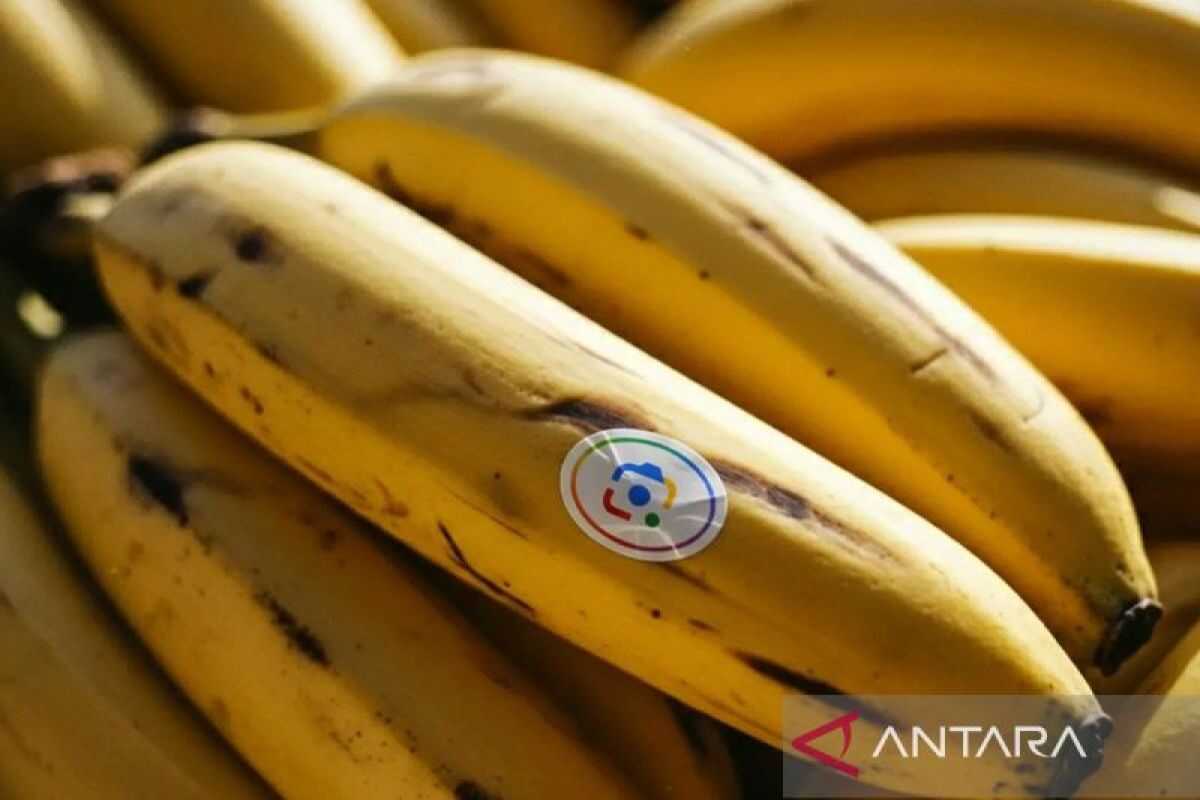 Google launches Nano Banana 2, an upgraded artificial intelligence model