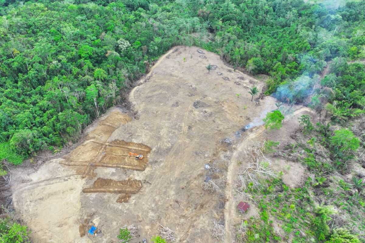 Ministry of Forestry Halts Forest Encroachment for Plantation Development in Wajo, South Sulawesi