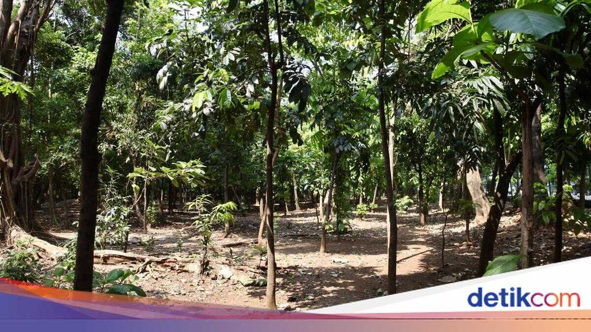 East Jakarta City Government Closes Two Illegal Access Points to Cawang City Forest Following Misuse