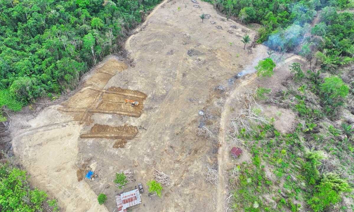 Forestry Law Enforcement Takes Action Against 9 Hectare Illegal Encroachment in Wajo Production Forest, South Sulawesi