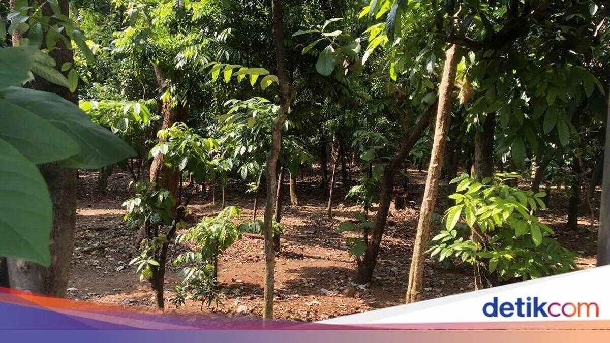 East Jakarta Municipal Government Closes Urban Park Amid Alleged Same-Sex Prostitution