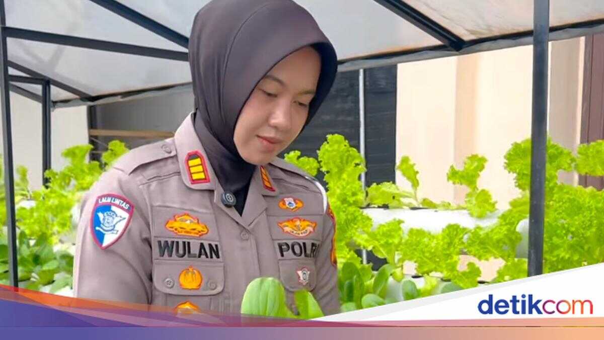 Green Policing Initiative: Riau Traffic Police Transform Office into Hydroponic Vegetable Garden