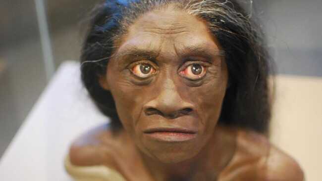 Location of Human Interbreeding with Other Species Revealed