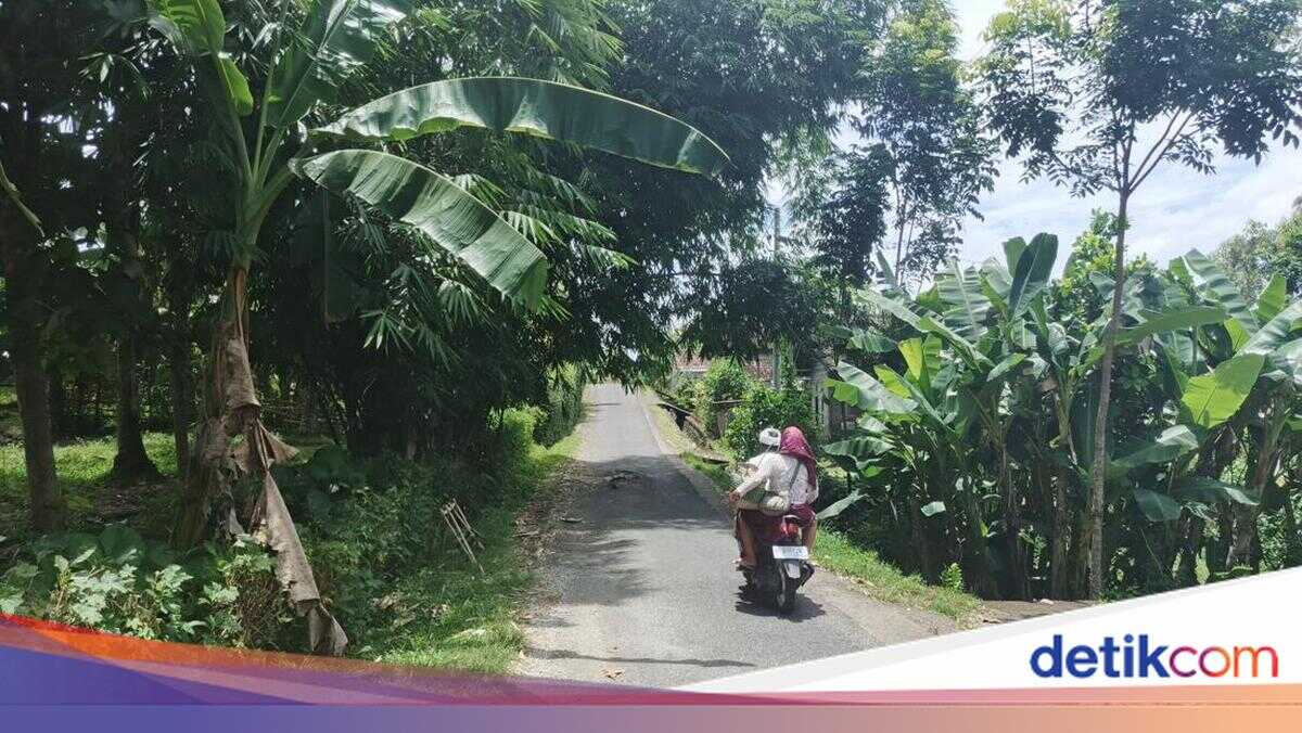 Gilimanuk-Mengwi Toll Road Project Scaled Back as Gilimanuk-Pekutatan Section Cancelled