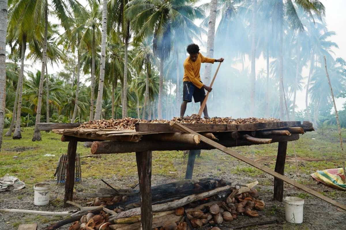 Merah Putih Pam Cooperative Sends 10.5 Tonnes of Copra to Surabaya