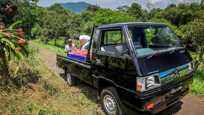Mitsubishi Reveals Government Free Nutritious Meal Programme Driving Pickup Sales