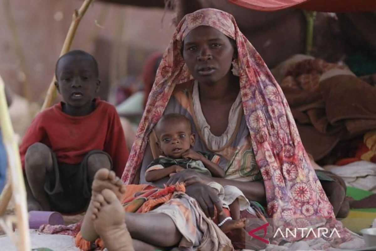 UN: World Growing More Dangerous Due to Armed Conflict