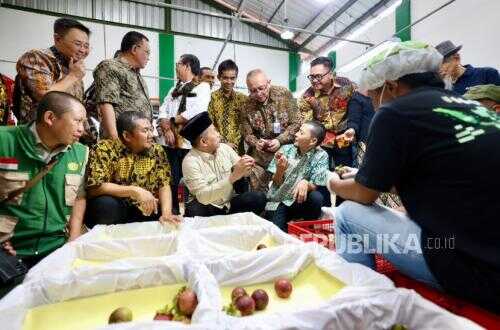 Subang Mangosteen Breaks into China Market; LPDB Cooperative Strengthens Financing up to Rp20 Billion