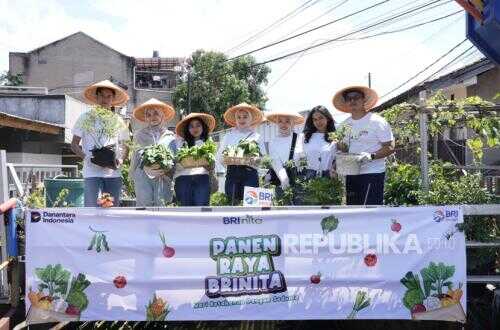 Housewife Transforms Waste into Food Self-Sufficiency Through EcoGrow