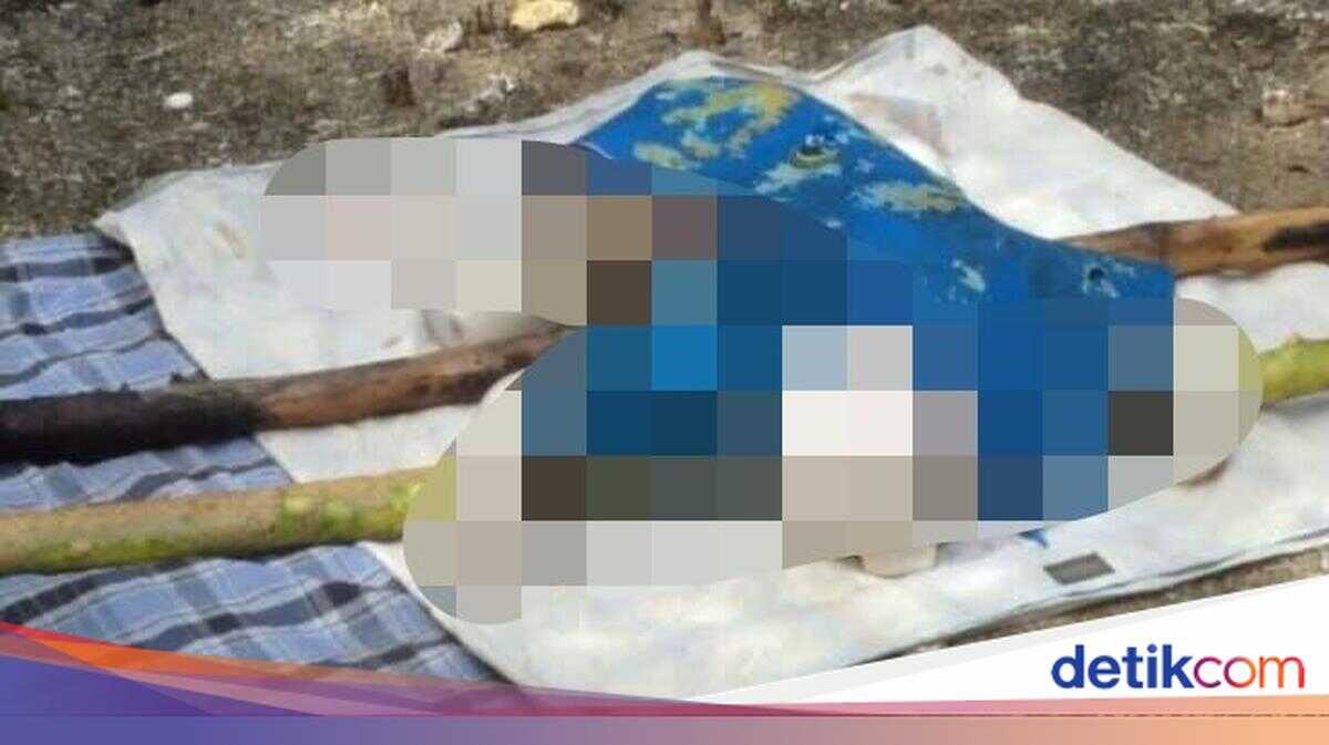 Body of Young Child Found in Moyo Island Waters, Sumbawa, Suspected Drifted from East Lombok