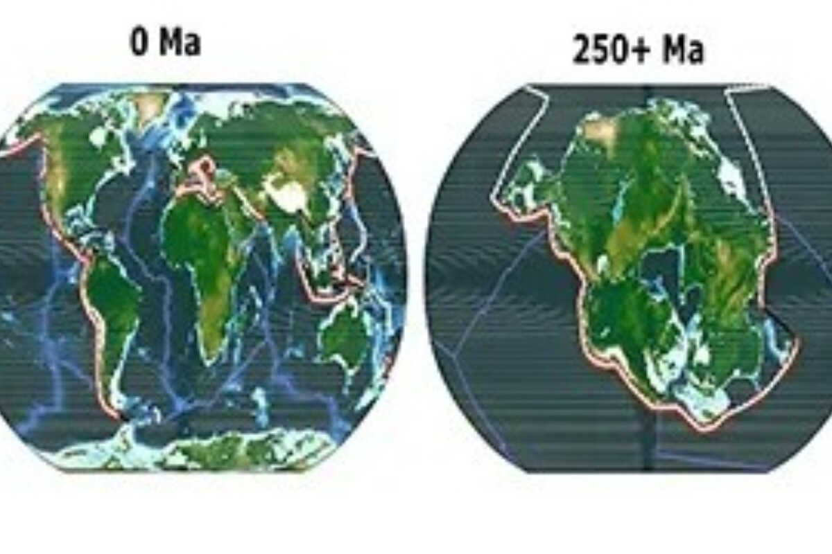 Scientists Predict Extinction of Mammals, Including Humans, Due to Extreme Earth Heat