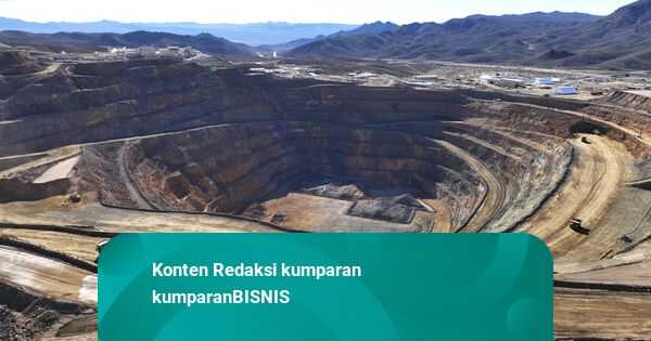 Indonesia Strengthens Cooperation with India on Critical Minerals and Steel Industry Development