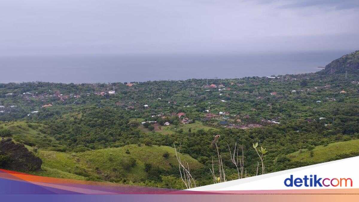 The Charm of Batu Kursi Hill: Trekking, Temple, and Pemuteran Bay Panorama