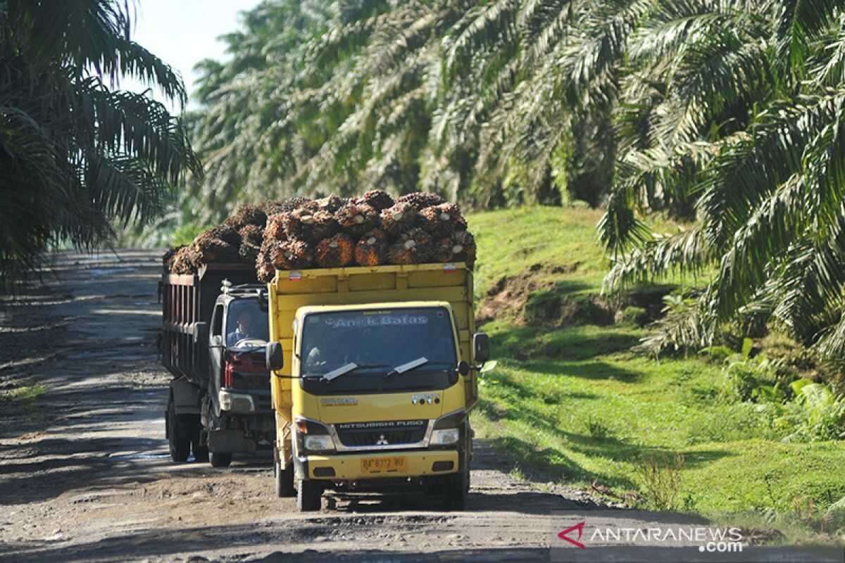 GAPKI sees zero tariff lifting US palm oil sales