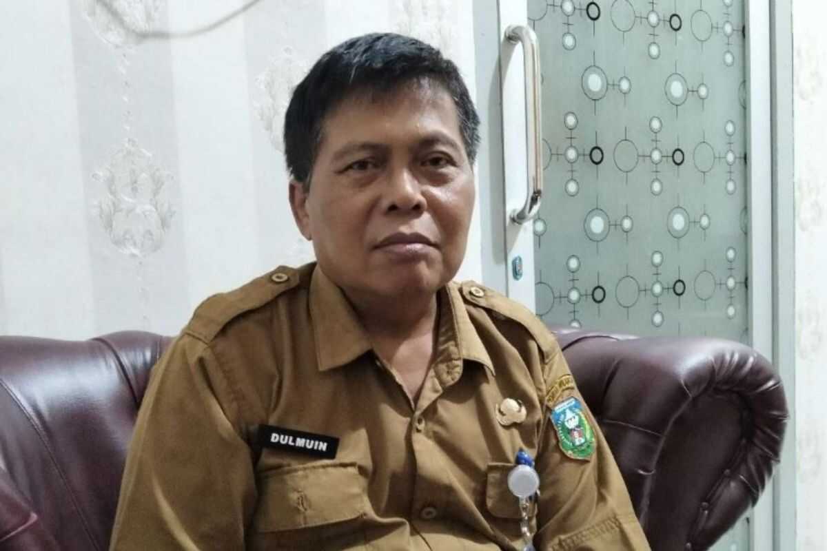 Sarolangun District targets 350 hectares of new paddy field creation