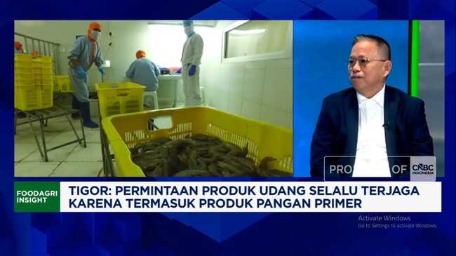 Video: Indonesian Shrimp Competes in US-China Markets, Entrepreneurs Have These Strategies