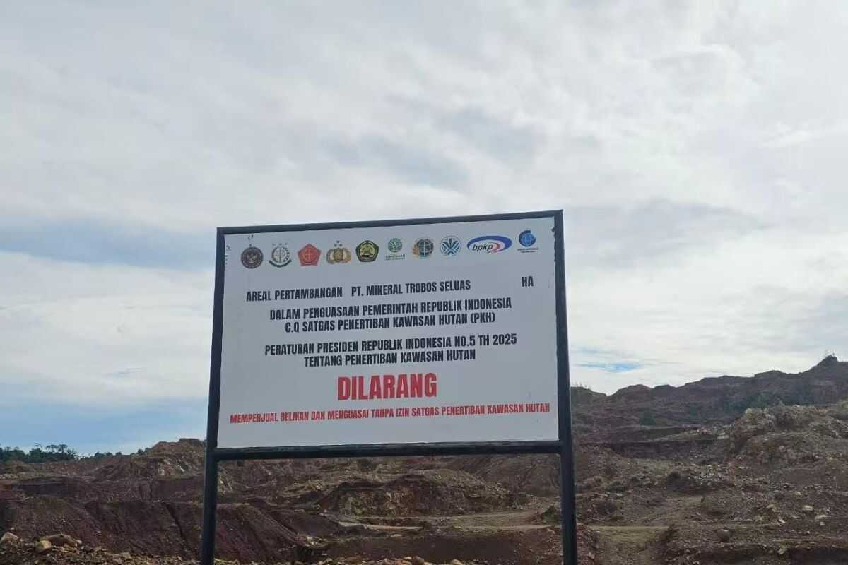 Mining Company Sherly Tjoanda Sanctioned Rp500 Billion, Here's What Forest Enforcement Task Force Says