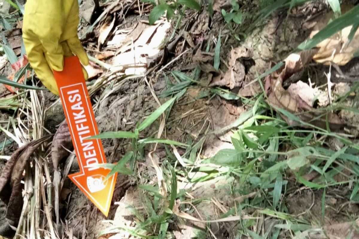 Karawang Police Investigate Discovery of Unidentified Woman's Body at KJIE Industrial Estate