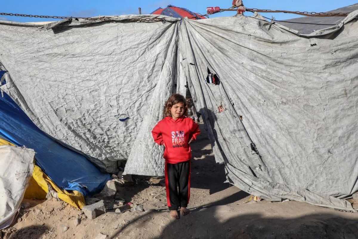 UN Delivers Food Aid to Nearly One Million Gaza Residents Despite Halved Rations