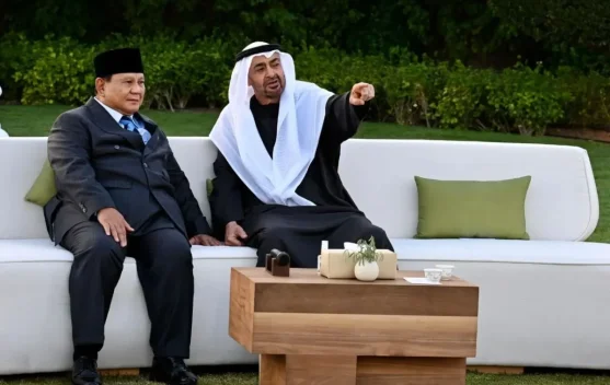 UAE Pledges Investment Surge in Landmark Meeting with President Prabowo