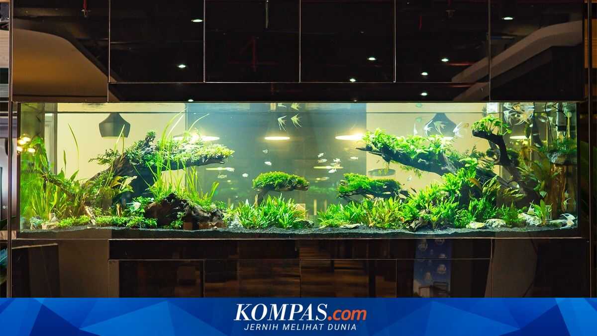Rising Trend of Aquarium Rental Services in Jakarta Office Spaces Boosts Atmosphere and Productivity
