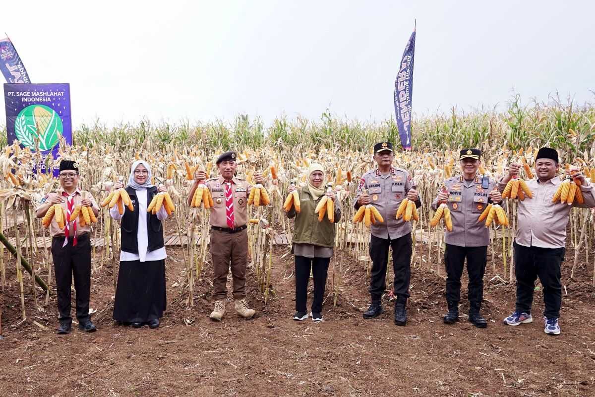 East Java cited as Indonesia's highest maize contributor