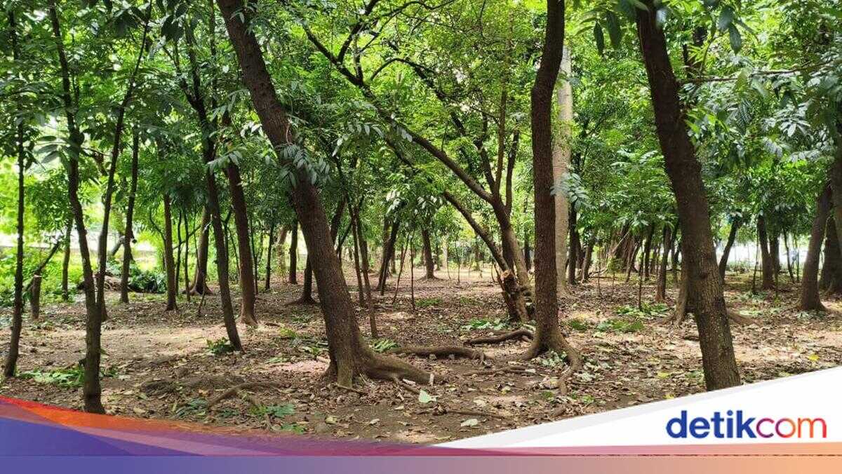 Dark Side of Cawang City Park in Jakarta Raises Concerns
