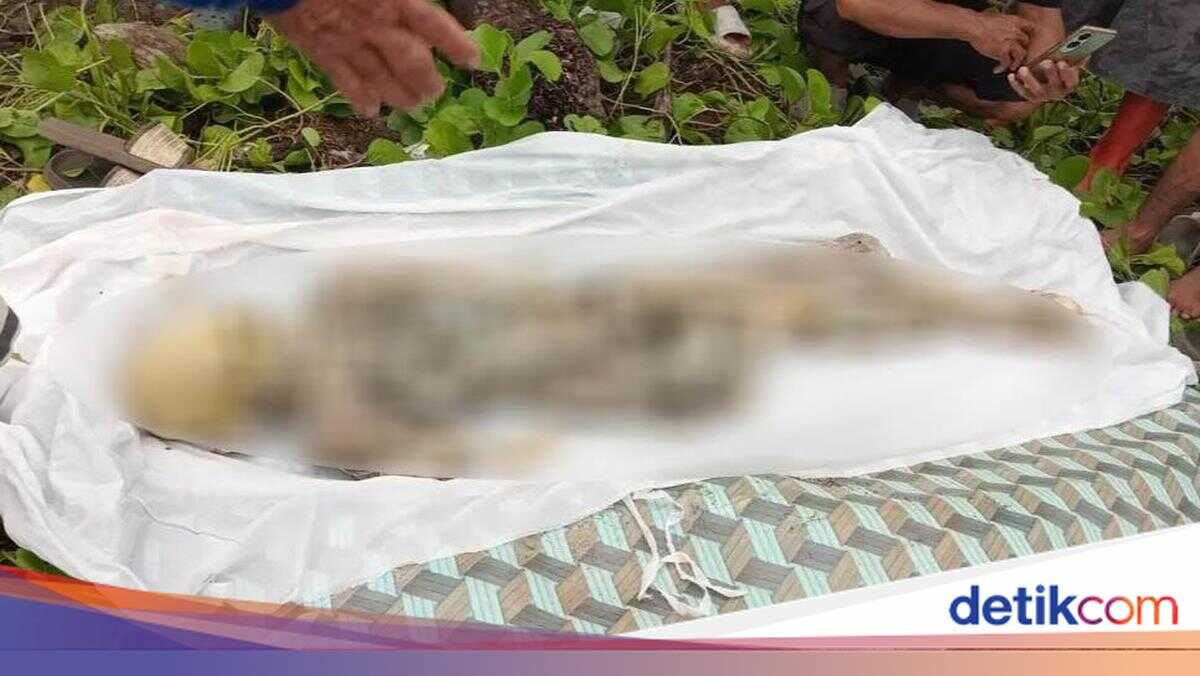 Residents of Moyo Island, Sumbawa Discover Skeletal Remains Again