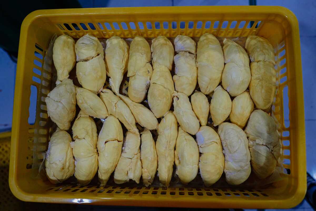 Parigi Moutong Urged to Become World's Leading Durian Producer; Government Prepares Land Expansion Strategy