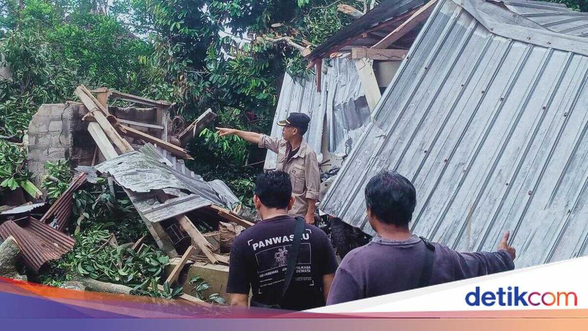 Resident's House in Sangeh Severely Damaged by Fallen Mango Tree, Losses Reach Rp 50 Million